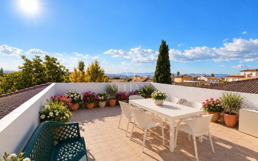 Chalets Independientes · Gojar
