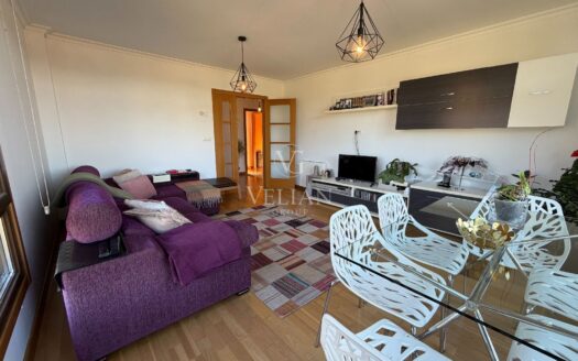 Chalets Independientes · Teo